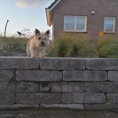 Linea Tricolore trommel 60cm